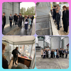 Профориентация