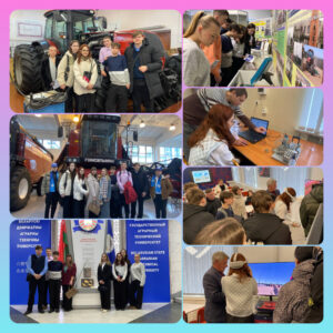 5 шагов качества