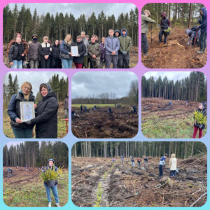 Акция «Лес! Дабро! Парадак!»