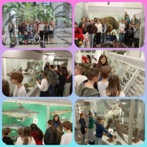 Наглядная биология: путешествие в мир зоологии!